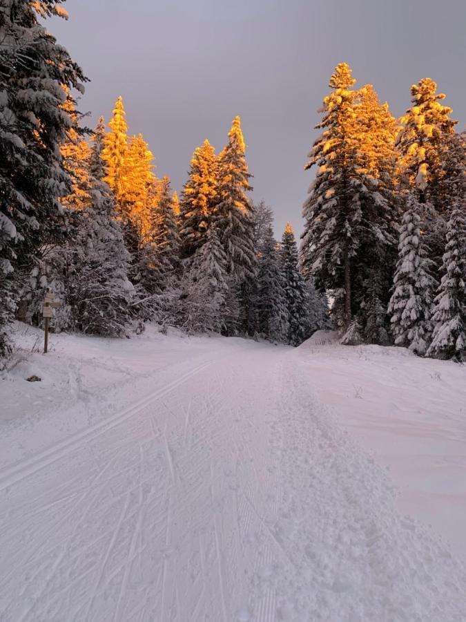 Le Relais Nordique Gasthof